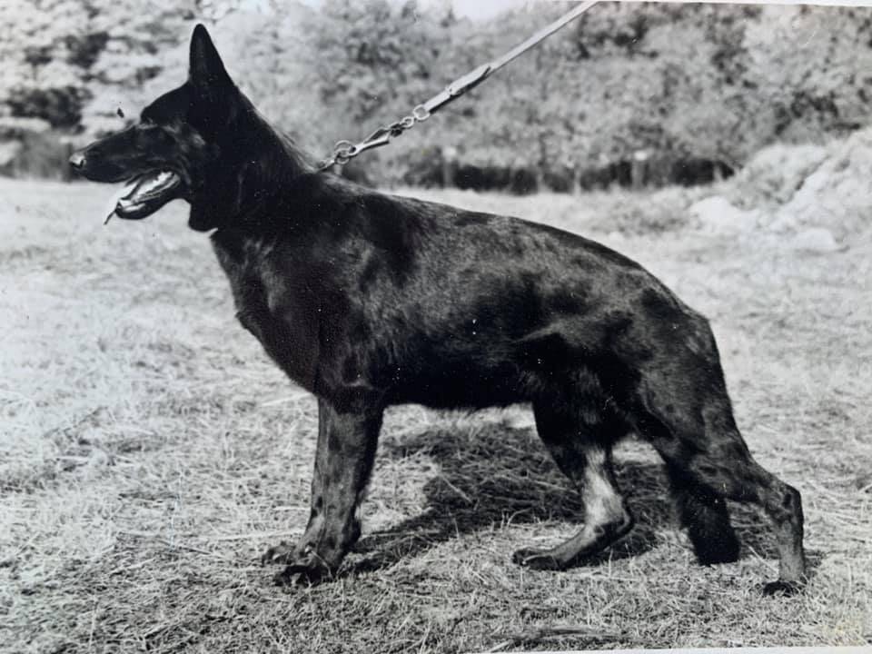 In alten Zeiten "geschwelgt"