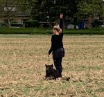 01.09.2019: Endlich Fährtenlesen nach der Sommerpause - Impressionen