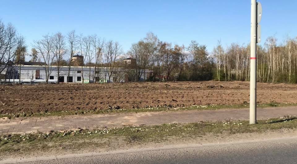 Der Rasen wird bereits eingesäht !